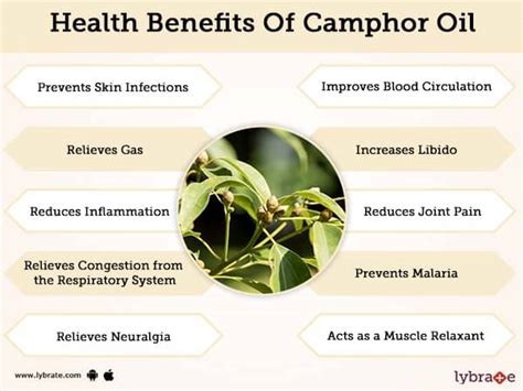 Camphor: Benefits, Uses, & Side Effects .